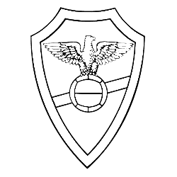 Sport Clube Salgueiros 08.png